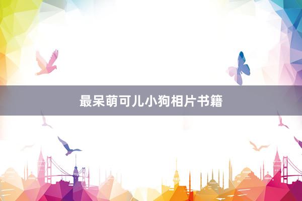 最呆萌可儿小狗相片书籍